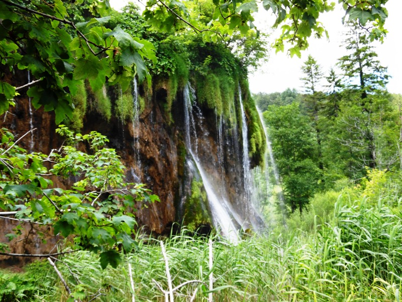 selce, restoran, restorani, pansion, pansioni, selcu, hotel, hoteli, jadran, jadranu, soba, sobe, apartman, polupansion, noenje, doruak